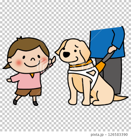 触られるのを嫌がるたれ耳の盲導犬 触られるのを嫌がるたれ耳の盲導犬 126583390