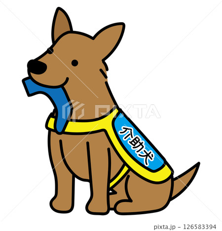 靴下を持ってくる立ち耳の介助犬 靴下を持ってくる立ち耳の介助犬 126583394
