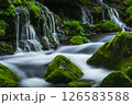 新緑の元滝伏流水 126583588