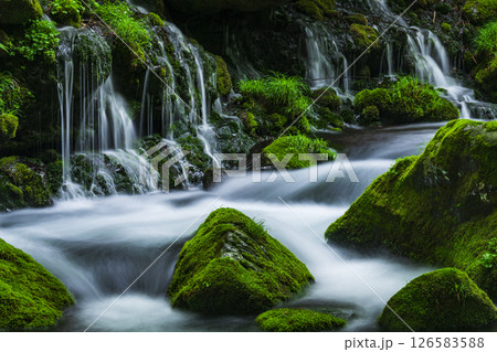新緑の元滝伏流水 126583588