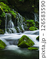 新緑の元滝伏流水 126583590