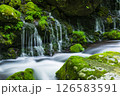 新緑の元滝伏流水 126583591
