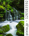 新緑の元滝伏流水 126583592