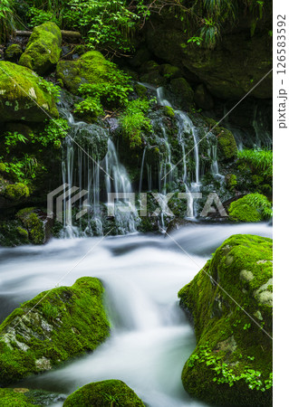 新緑の元滝伏流水 126583592