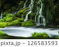 新緑の元滝伏流水 126583593