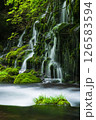 新緑の元滝伏流水 126583594