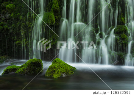 新緑の元滝伏流水 126583595
