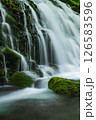 新緑の元滝伏流水 126583596