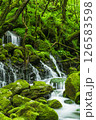 新緑の元滝伏流水 126583598