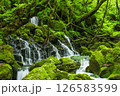 新緑の元滝伏流水 126583599