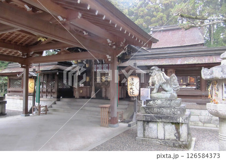 滋賀県:建部大社【日本遺産構成文化財】本殿と権殿/大津市 滋賀県:建部大社【日本遺産構成文化財】本殿と権殿/大津市 126584373