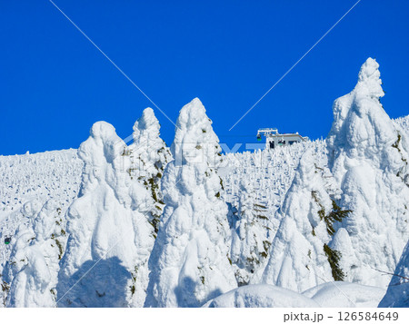 遠くにロープウェイ山頂駅が覗く広大な樹氷の森 (山形県、蔵王温泉スキー場) 126584649