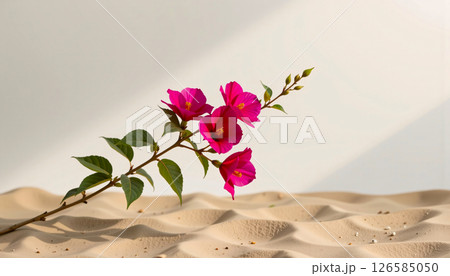 graceful stem of bougainvillea in a minimalist style, with fuchsia and sand palette, flowing lines 126585050