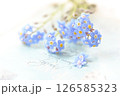 忘れな草 126585323