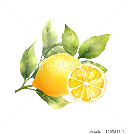 Fresh Lemon fruits with green leaves. Hand drawn watercolor illustration Fresh Lemon fruits with green leaves. Hand drawn watercolor illustration 126585542