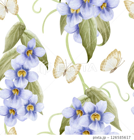 Purple bindweed flowers with butterflies watercolor seamless pattern on white. Thunbergia pastel violet blossom plant hand drawn repeat background. Vintage botanical floral art of garden nature 126585617