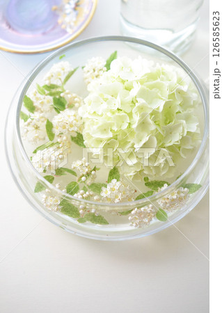 ビバーナムとこでまりの花びら ビバーナムとこでまりの花びら 126585623