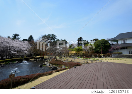 道の駅たかねざわ元気あっぷ村 #9 道の駅たかねざわ元気あっぷ村 #9 126585738