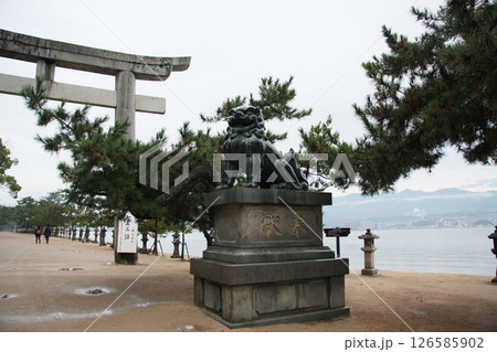 宮島　厳島神社　広島県 126585902