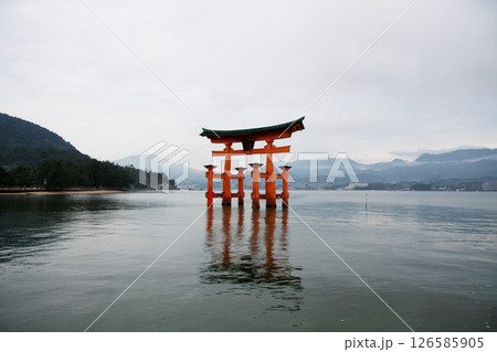宮島　厳島神社　広島県 126585905