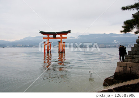 宮島　厳島神社　広島県 126585906