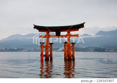 宮島 厳島神社 広島県 宮島 厳島神社 広島県 126585907
