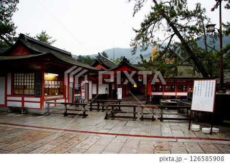 宮島 厳島神社 広島県 宮島 厳島神社 広島県 126585908