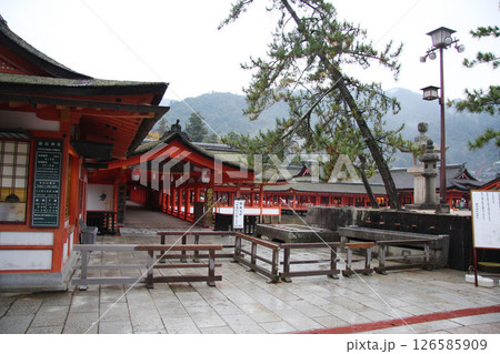 宮島　厳島神社　広島県 126585909