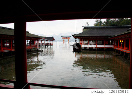 宮島　厳島神社　広島県 126585912