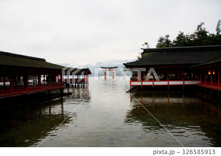 宮島　厳島神社　広島県 126585913