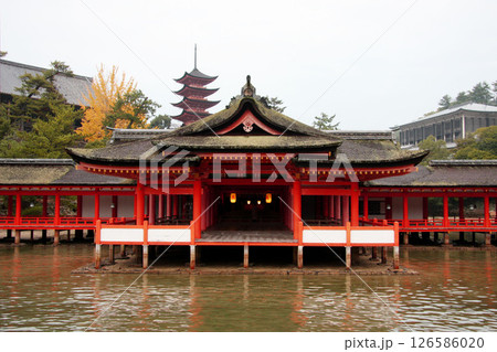 宮島　厳島神社　広島県 126586020