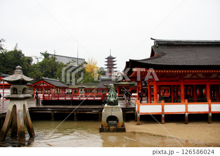 宮島　厳島神社　広島県 126586024