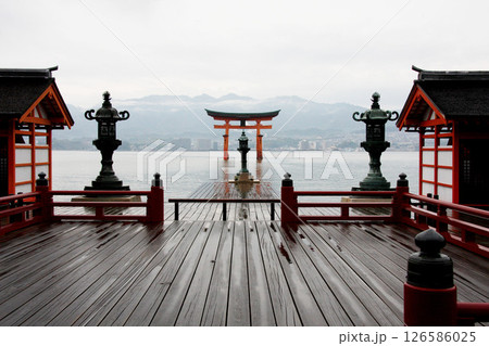 宮島 厳島神社 広島県 宮島 厳島神社 広島県 126586025