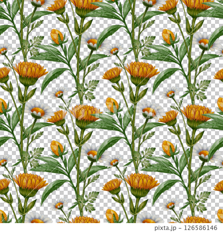 Seamless pattern with calendula and chamomile Seamless pattern with calendula and chamomile 126586146