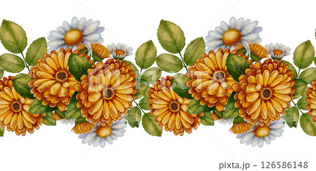 seamless border with calendula and chamomile 126586148