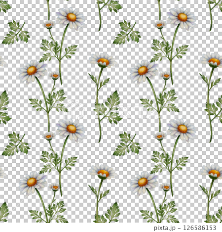 Seamless pattern with chamomile flowers 126586153