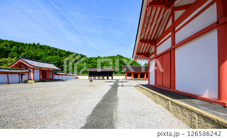 えさし藤原の郷 12世紀頃想定の政庁と南門 岩手県 えさし藤原の郷 12世紀頃想定の政庁と南門 岩手県 126586242