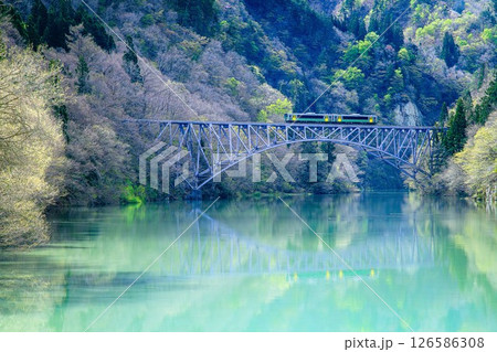 只見線　新緑の第一只見川橋梁を渡る列車(福島県三島町、4月下旬) 126586308