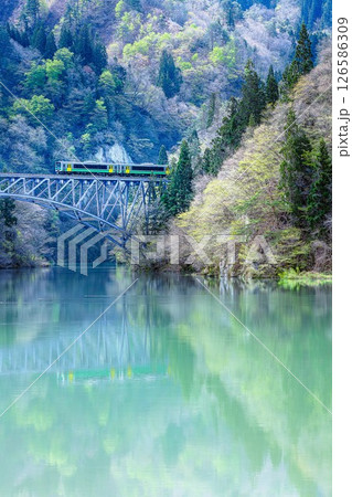 只見線 新緑の第一只見川橋梁を渡る列車(福島県三島町、4月下旬) 只見線 新緑の第一只見川橋梁を渡る列車(福島県三島町、4月下旬) 126586309