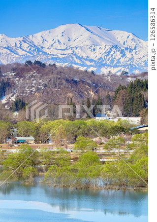 新緑の「白川湖の水没林」と飯豊連峰(山形県飯豊町、4月下旬) 新緑の「白川湖の水没林」と飯豊連峰(山形県飯豊町、4月下旬) 126586314
