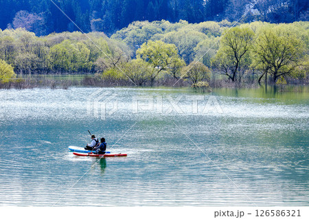 新緑の「白川湖の水没林」(山形県飯豊町、4月下旬) 新緑の「白川湖の水没林」(山形県飯豊町、4月下旬) 126586321