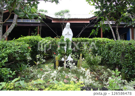 グアム タロフォフォの滝 グアム タロフォフォの滝 126586478