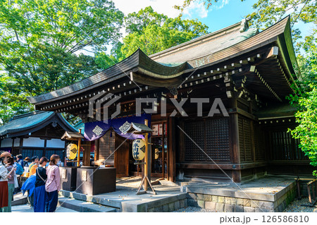 【埼玉県】川越にある氷川神社の拝殿 【埼玉県】川越にある氷川神社の拝殿 126586810