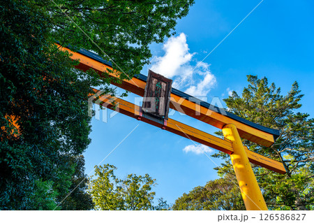 【埼玉県】川越にある氷川神社の大鳥居 126586827