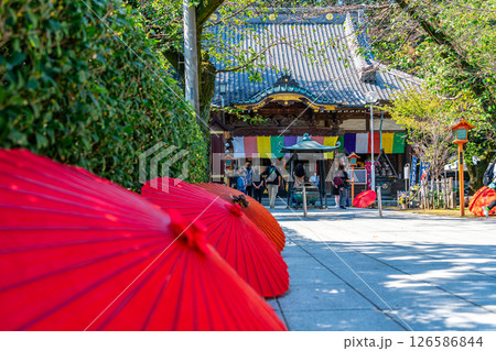 【埼玉県】参道に置かれた和傘が素敵な川越の蓮馨寺 【埼玉県】参道に置かれた和傘が素敵な川越の蓮馨寺 126586844