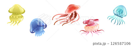 Jellyfish and Sea Jelly as Free-swimming Marine Animal Vector Set 126587106