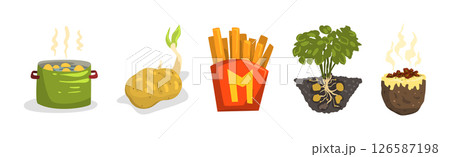 Potato Food Item and Products Object Vector Set 126587198