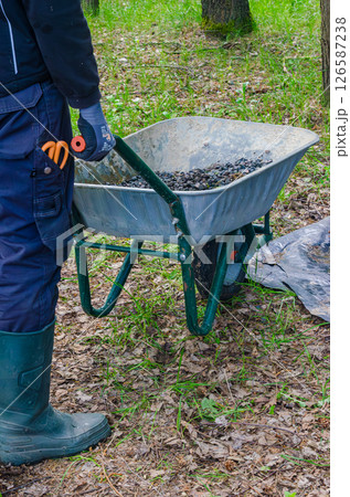 Worker moving gravel with wheelbarrow on forest ground. High quality photo Worker moving gravel with wheelbarrow on forest ground. High quality photo 126587238