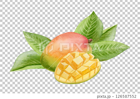 Ripe mango fruits with leaves watercolor illustration isolated on white. Ripe summer food whole and sliced in cubes. Tropical heathy clip art for juice designs 126587552