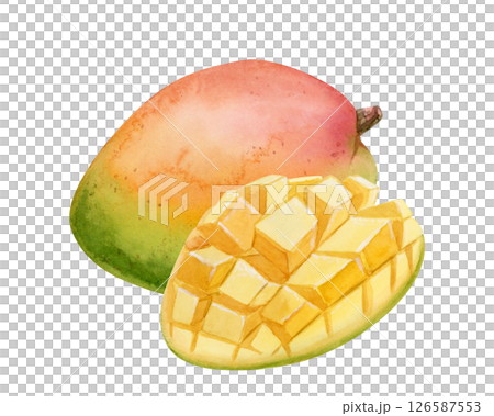 Watercolor mango fruits hand drawn illustration isolated on white. Ripe summer food whole and sliced in cubes. Tropical heathy clip art for juice designs 126587553